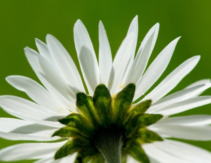 Программа «Антистресс» - Санаторий «Горный воздух» Железноводск